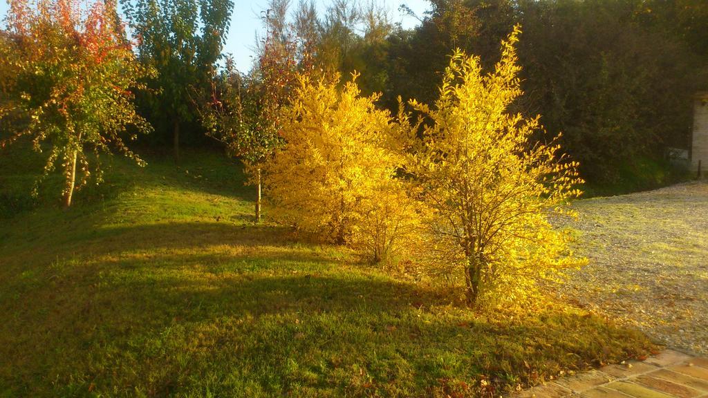 Poggio Dei Prugnoli Bed & Breakfast Tavoleto Dış mekan fotoğraf