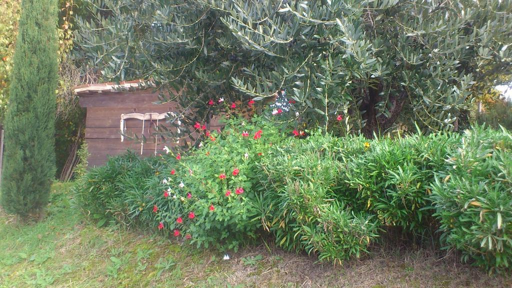 Poggio Dei Prugnoli Bed & Breakfast Tavoleto Dış mekan fotoğraf