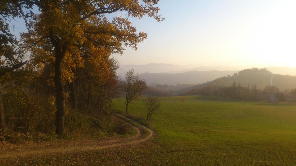 Poggio Dei Prugnoli Bed & Breakfast Tavoleto Dış mekan fotoğraf