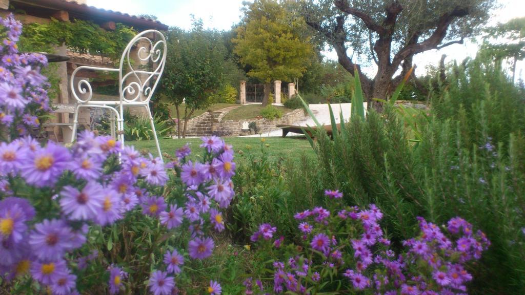 Poggio Dei Prugnoli Bed & Breakfast Tavoleto Dış mekan fotoğraf