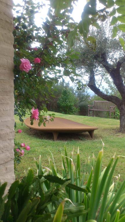 Poggio Dei Prugnoli Bed & Breakfast Tavoleto Dış mekan fotoğraf
