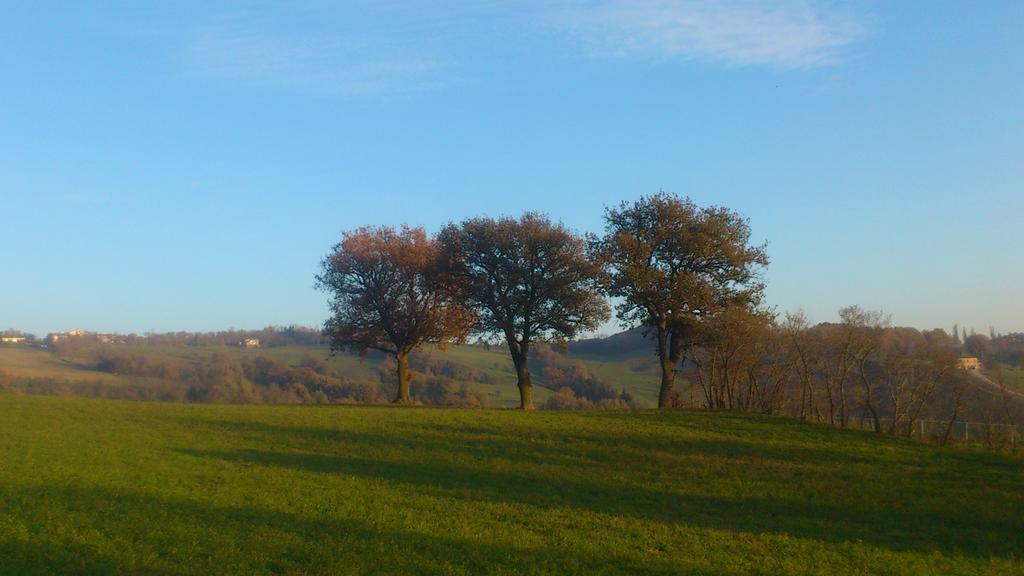 Poggio Dei Prugnoli Bed & Breakfast Tavoleto Dış mekan fotoğraf