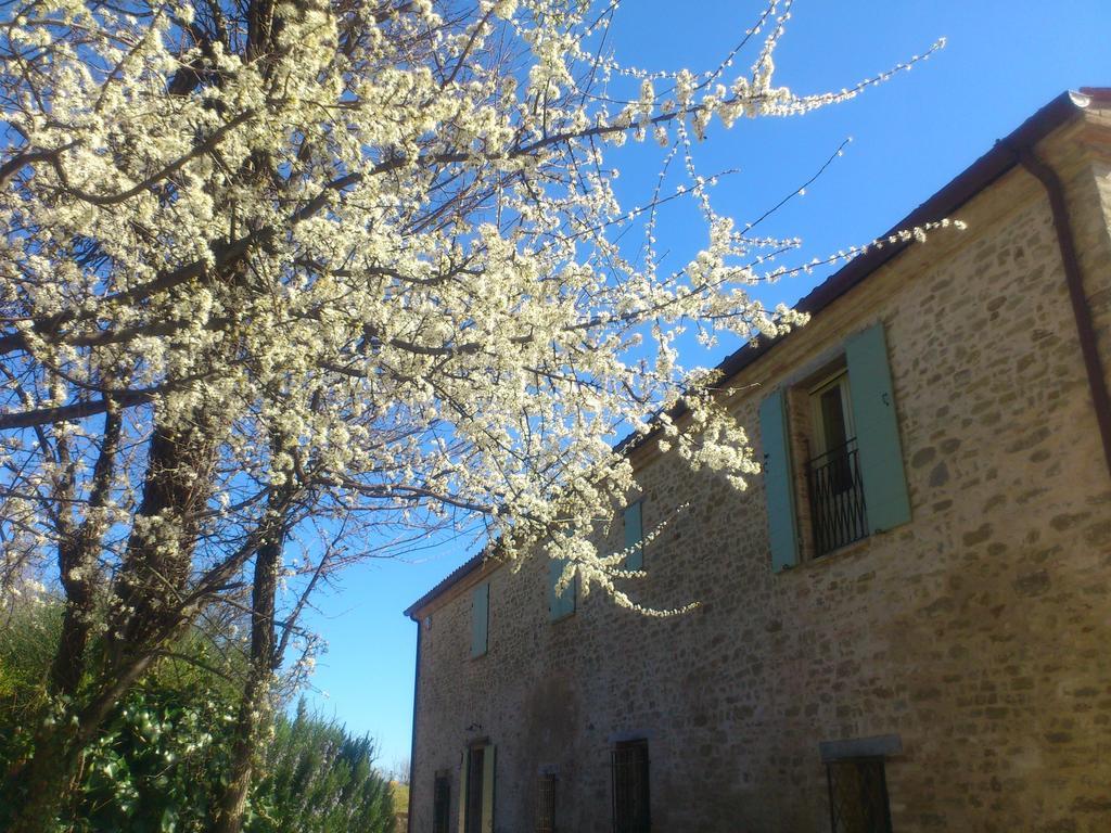 Poggio Dei Prugnoli Bed & Breakfast Tavoleto Dış mekan fotoğraf