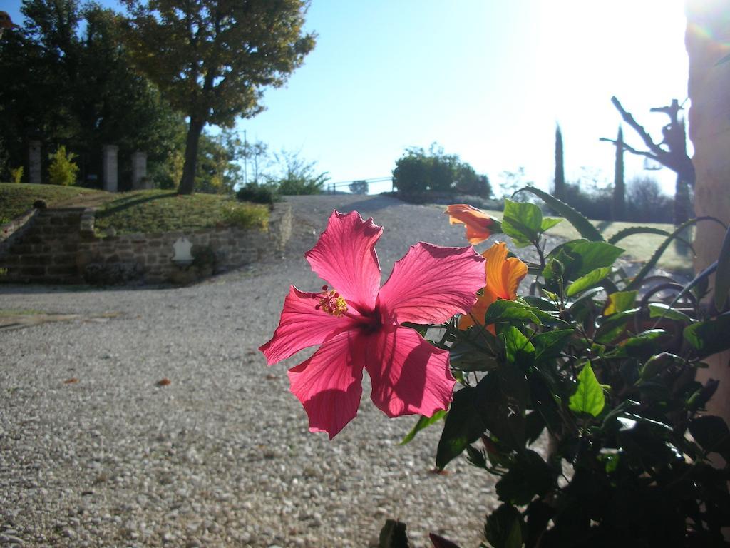 Poggio Dei Prugnoli Bed & Breakfast Tavoleto Dış mekan fotoğraf