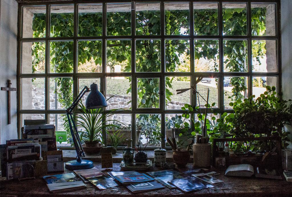 Poggio Dei Prugnoli Bed & Breakfast Tavoleto Dış mekan fotoğraf