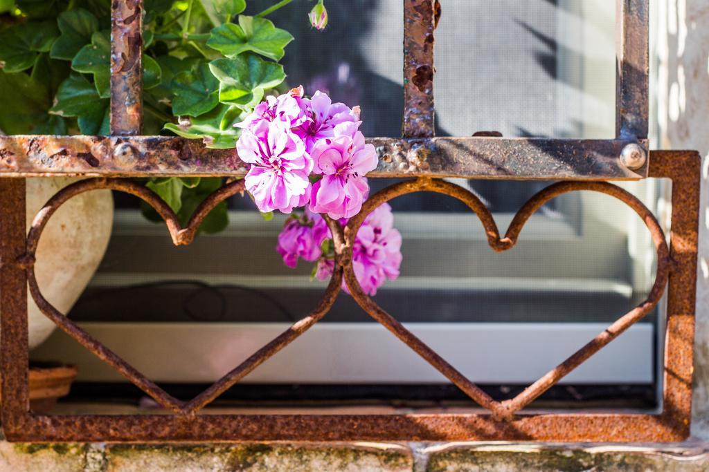 Poggio Dei Prugnoli Bed & Breakfast Tavoleto Dış mekan fotoğraf